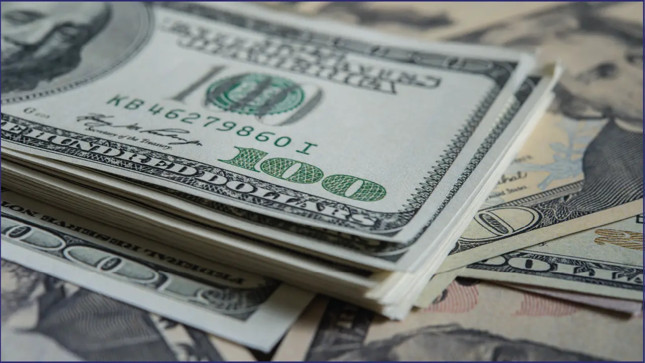 Government Support and Financial Incentives