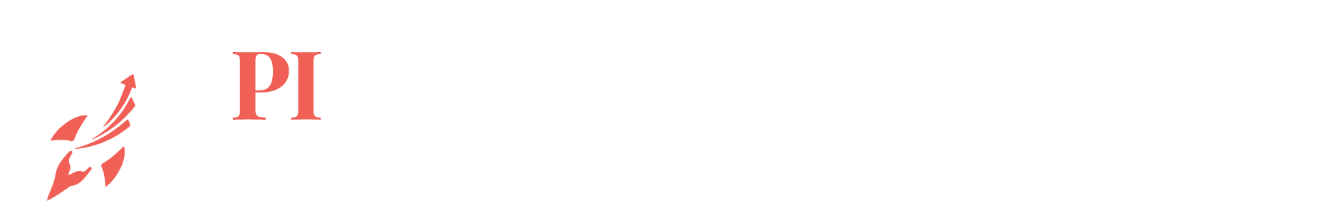 PI Startup Advisory
