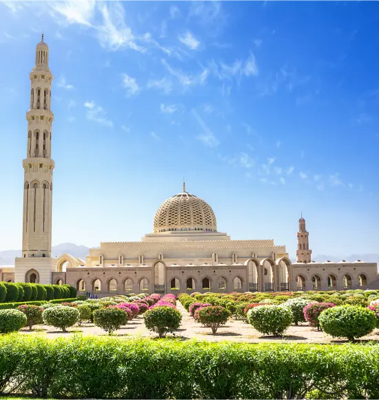 Knowledge Oasis Muscat